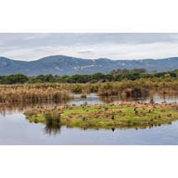 DELTA DEL LLOBREGAT I MUSEU...